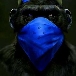 Meet your Posher, Ronald